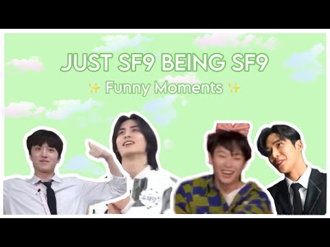 JUST SF9 BEING SF9 TO CURE ALL YOUR PROBLEMS | SF9 FUNNY MOMENTS 2023/2024 ♡