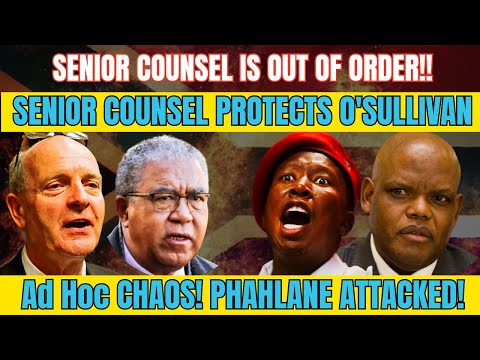 SENIOR COUNSEL PROTECTING O'Sullivan? Malema SAVES Phahlane! Ad Hoc Chaos! 
