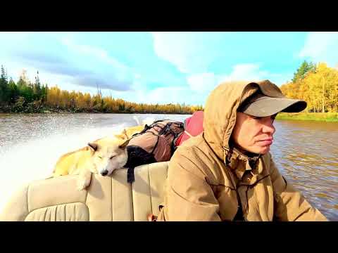 Тайга зовет! Ловим и готовим огромных щук на костре. Шаман догнал лося - азарт зверя от первого лица