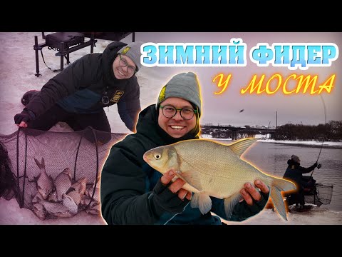Зимний фидер у моста. Школа донной ловли.