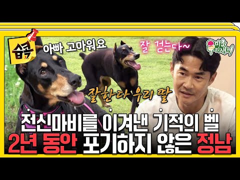 [#습콕📌] 눈물없이 볼 수 없는 배정남과 반려견 벨의 이야기😭 어제보다 오늘이 더 나아줘서 고마워, 벨아🫶 #미운우리새끼 #MyLittleOldBoy #SBSenter