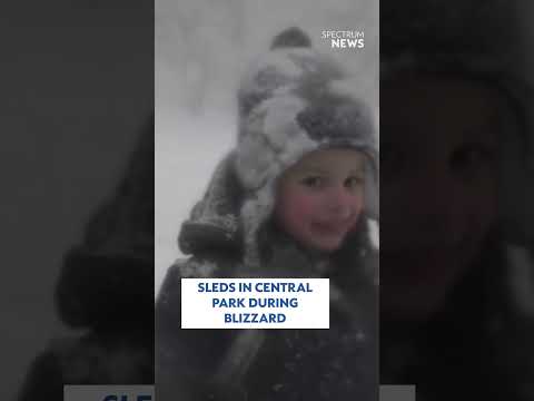 Little New Yorker sleds in Central Park during blizzard