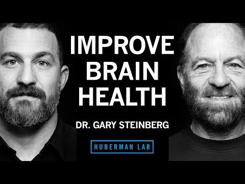 How to Improve Brain Health & Offset Neurodegeneration | Dr. Gary Steinberg