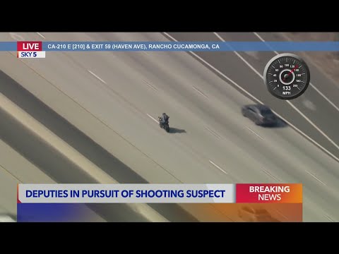 Fleeing motorcyclist suspected of shooting sheriff's deputy crashes mid-pursuit
