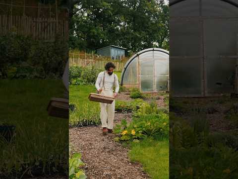 Would you order this dish? ๐ฟ recipe in my new book plant to plate, please support me ๐ #shorts