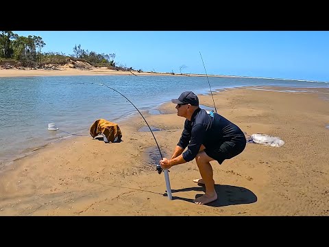 Easy Way to CATCH FISH - LIVE BAIT!! - Cook Fish!