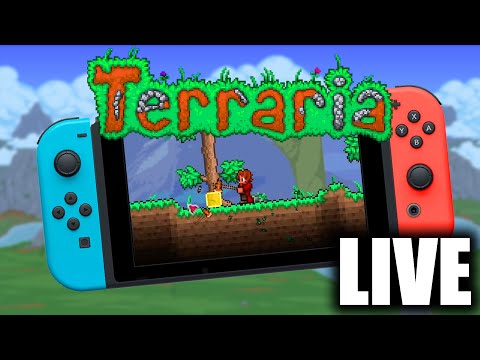 Terraria on Switch is Growing on me