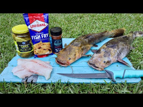 Dill Flavored Flathead and Cajun Fried Pickle Catch n' Cook!