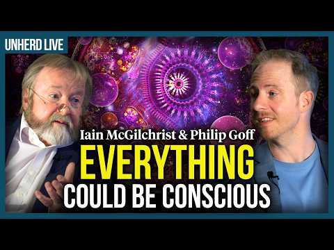 Iain McGilchrist & Philip Goff: Is the universe conscious?