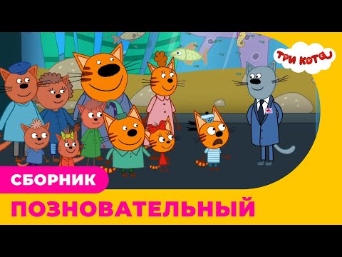 Три кота | Сборник ПОЗНОВАТЕЛЬНЫХ серий