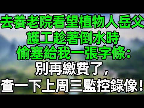 去養老院看望植物人岳父，護工趁著倒水時偷塞給我一張字條：別再繳費了，查一下上周三監控錄像！#深夜淺讀 #夜讀人生 #大橘講故事  #情感故事  #講故事  #幸福生活 #深夜故事