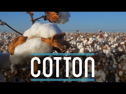 Cotton | How To Make Everything: Suit (2/10)