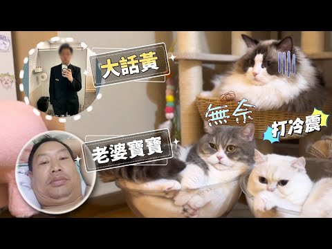 笑到肚痛！錄音流出！三隻貓扮東張「大話黃」叫老婆寶寶！此男詐騙多名女生超百萬 請廣傳！📣小心此人！