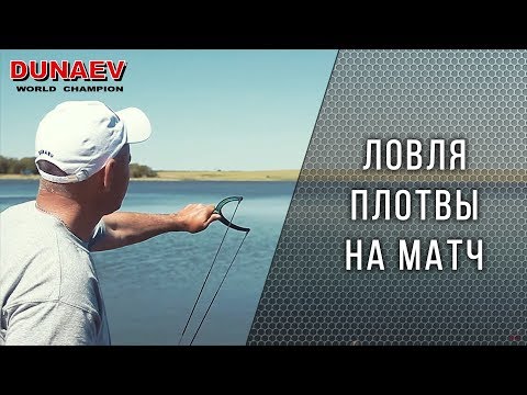 Ловля плотвы на матч