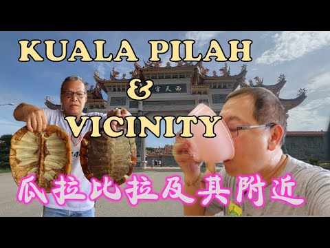 Uncle Lee explores Kuala Pilah  | 大舅父探索瓜拉比拉 | AH MENG | SI THIAN KONG |  SERI MENANTI | TURTLE SOUP