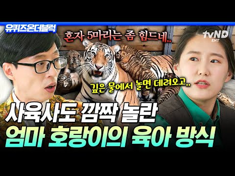 [#유퀴즈온더블럭] 눈코 뜰 새 없는 오둥이맘 호랑이🐯 역시 위대한 엄마의 힘이란..💕