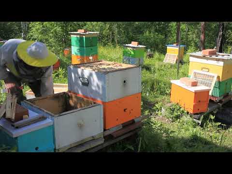 Setting up the third building