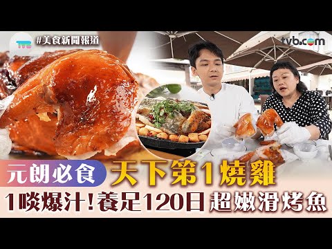 美食新聞報道｜元朗必食天下第1燒雞！雞肉養足120日1啖爆汁 仲有超嫩滑烤魚｜TVB Plus