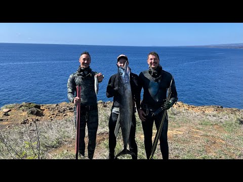 Learning blue water spearfishing from an expert ono/wahoo hunter in Hawaii