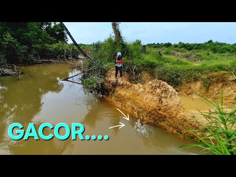 UMPAN JITU MANCING HAMPALA,SAAT AIR KERUH || Versi Saya @Banyunata 