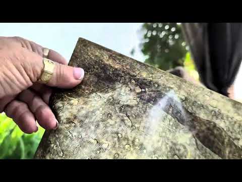 Altering a National Geographic with an alternative for Citrasolv. 