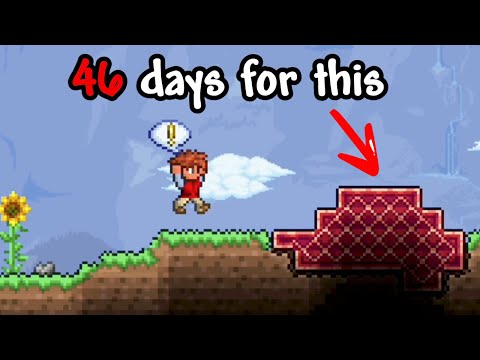 What is Actually the Rarest Item In Terraria?