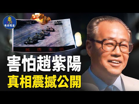 為何中共至今害怕趙紫陽？真相震撼公開。主持：芬妮  【時局縱橫】
