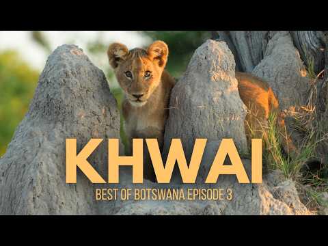 Khwai, Botswana – One of the Best Areas for a Self-Drive Safari (Best of Botswana Ep.3)