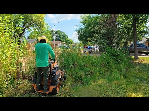 We Didn’t Expect COPS to Show Up During This OVERGROWN Yard Transformation…