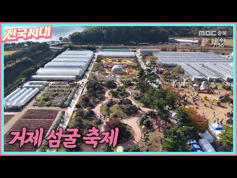 [전국시대] 거제 섬굴 축제 등 ㅣMBC충북ㅣ251210