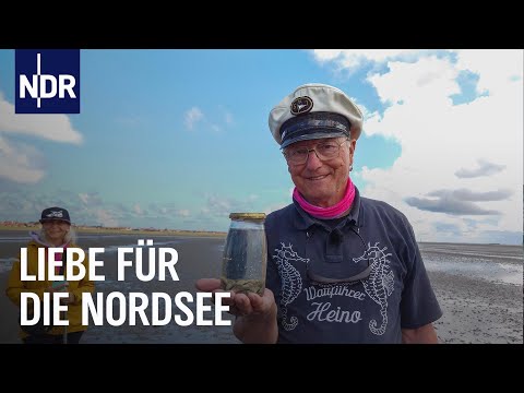 Nordseeliebe XXL – Wiedersehen mit Seebären und Küsten-Fans | Nordseereport | NDR Doku