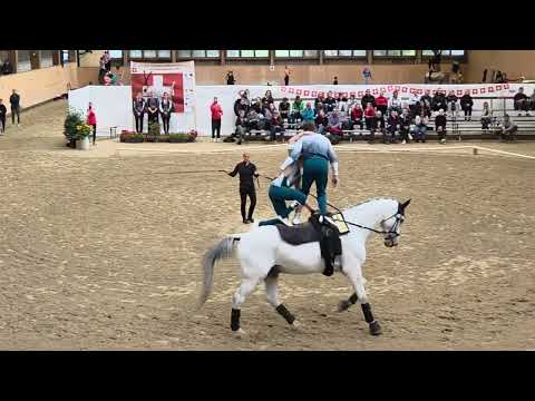 SM Voltige 2025 Fehraltdorf - Michelle und Remy 