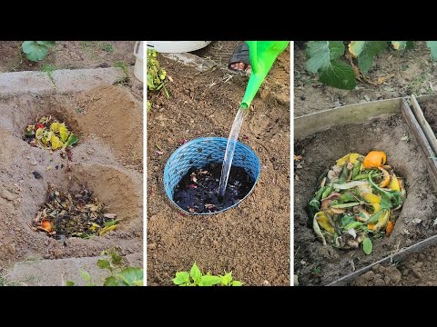 "I Buried Kitchen Scraps in My Garden – The Results SHOCKED Me!"