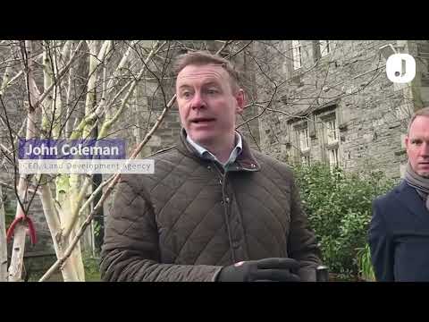 LDA chief says development at Central Mental Hospital site will start next month