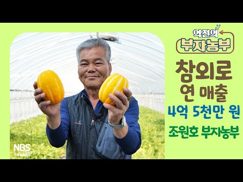 [역전의부자농부 303회] 참외로 연 매출 4억 5천만 원! 경북 성주 조원호 부자농부