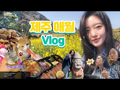 [Vlog] 제주도 여행 브이로그 🌴 | 친구랑 2박3일여행 🤍 | 이대로만 가세요 🚗 | 애월맛집 🍲 | 애월카페 ☕️ | 산방산 유채꽃 🌼