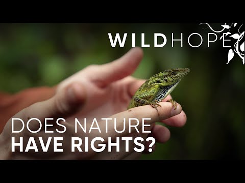 "Can youth activists protect nature’s rights in Ecuador? | WILD HOPE"