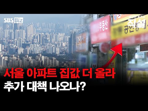 [직설] 불안 속 상승폭 커진 서울 집값…정부가 내놓을 추가 대책은?