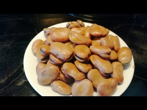 طريقة سلق الفول المدمس الصحيحه الفول نيفا