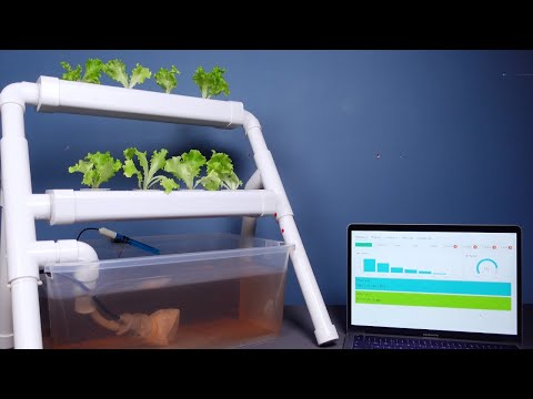 Make your hydroponics system fully automated and view data via the app