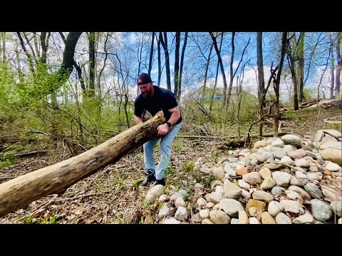 Cleaning Brush, Weeding Gardens, The Timber Man Natey Moves Me a Log 🪵!