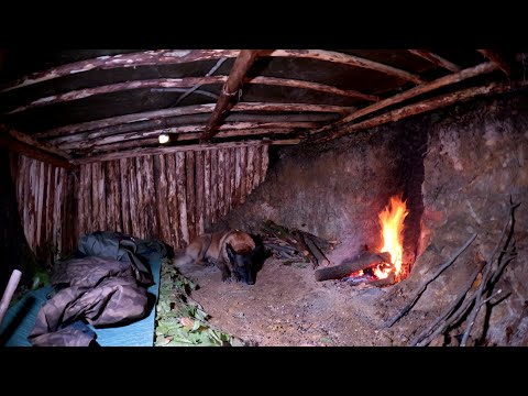 Heavy Rain, Wild Animals & Campfire Cooking | Night Survival with My Dog