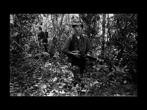 Viet Cong Commanders Mocked Australian Patrols, Until They Saw What They Could Do