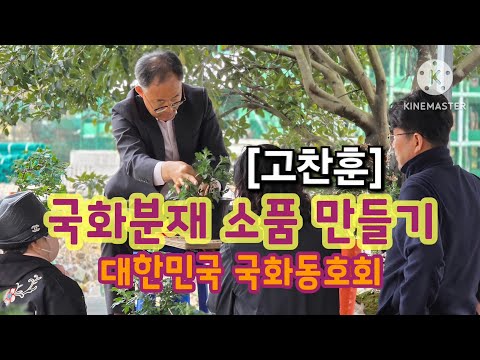 국화분재 소품 만들기 🌻 고찬훈 🌻 대한민국 국화동호회
