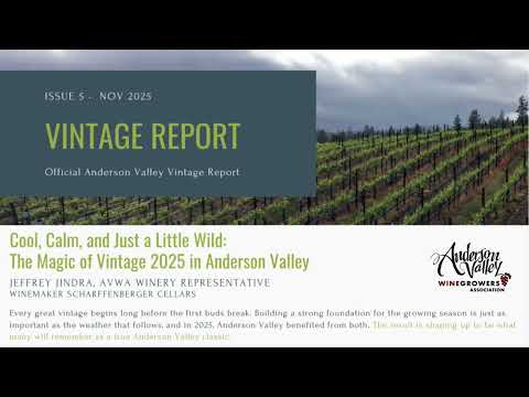2025 Vintage Report: Cool, Calm, and Just a Little Wild—The Magic of Vintage 2025 in Anderson Valley