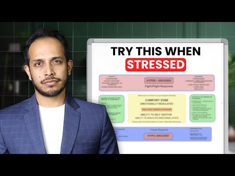 Why do we fight when stress takes over?