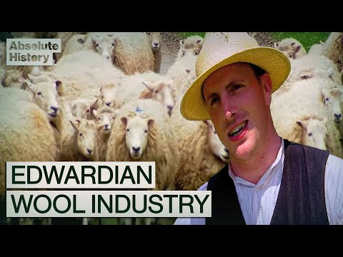 Why The Edwardian Wool Industry Made So Much Money