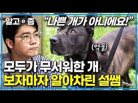 “저희는 절대 저렇게 멀쩡한 아이를 안락사시키지 않아요” 마을 어르신들을 공포에 떨게 한 개의 진짜 속마음 │세상에 나쁜 개는 없다│알고e즘