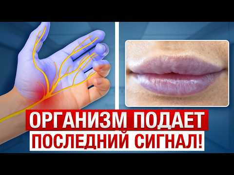ОПАСНЫЕ неврологические сигналы организма! / Почему немеют губы, кончик языка и носа?