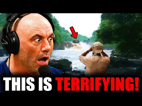 The Terrifying Truth Behind the Mokele-Mbembe—Scientists Say We’ve Been Looking at the Wrong Monster